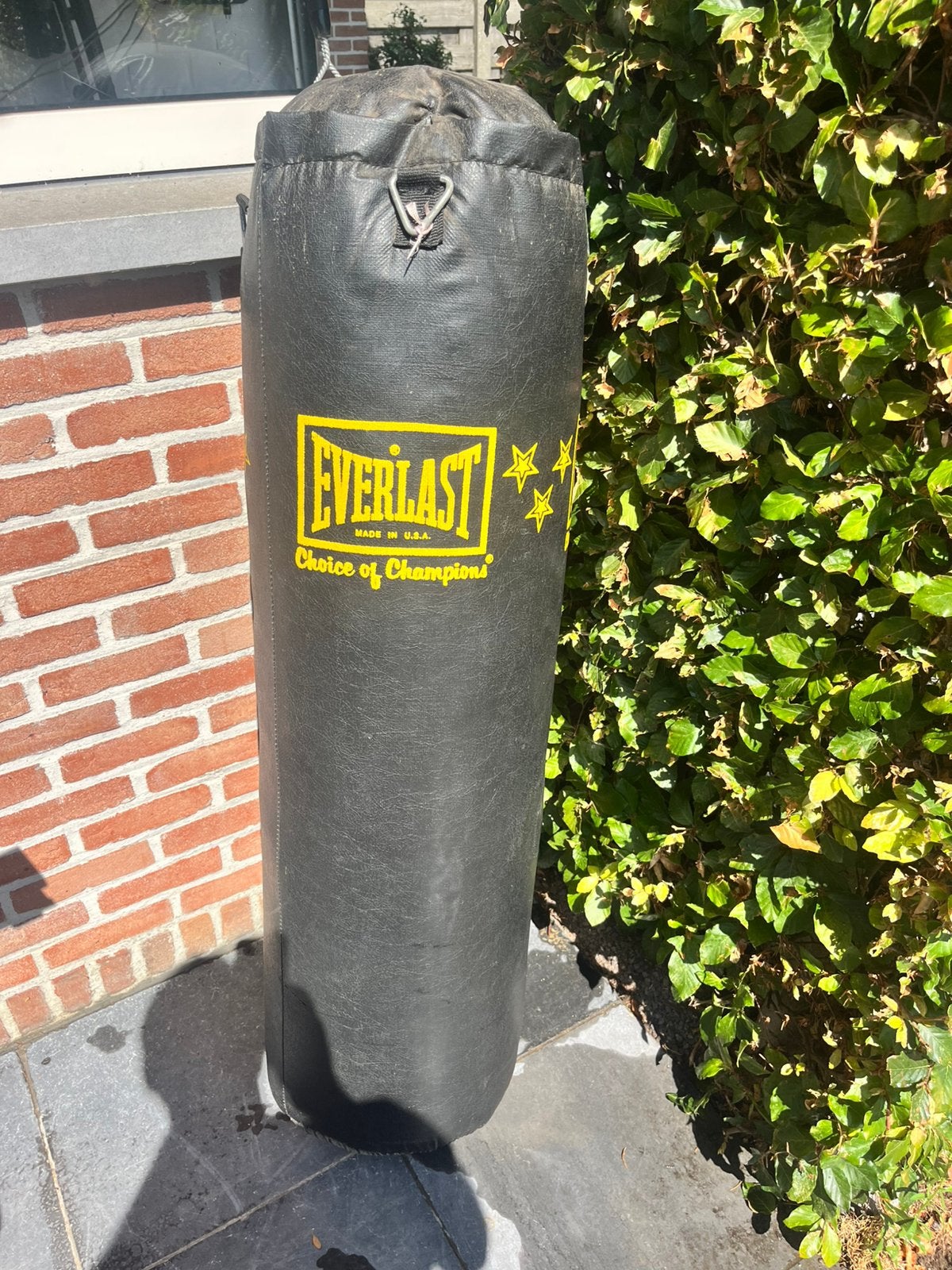 Bokszak Everlast  met bevestigingsrail, Sport en Fitness, Vechtsporten en Zelfverdediging, Ophalen, Zo goed als nieuw