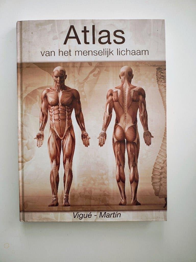 Atlas van het menselijk lichaam - Vigué/Martin, Ophalen of Verzenden, Zo goed als nieuw