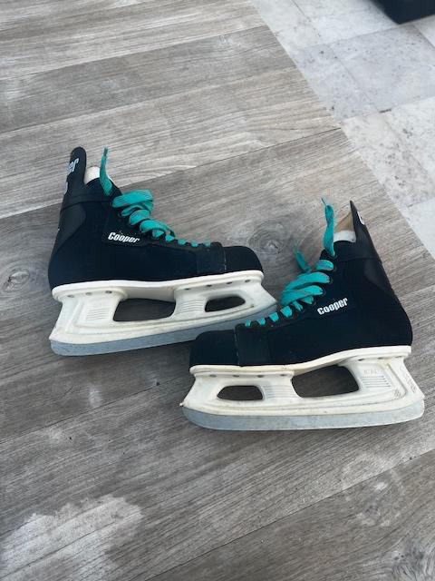 Schaatsen, Sport en Fitness, Ophalen, Gebruikt