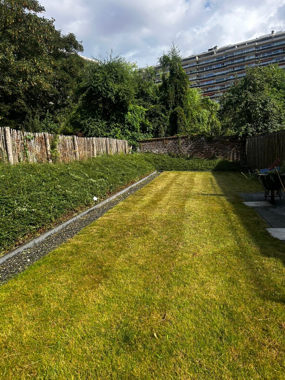 Service de Jardinage, Tuin en Terras, Planten | Bomen, Ophalen of Verzenden