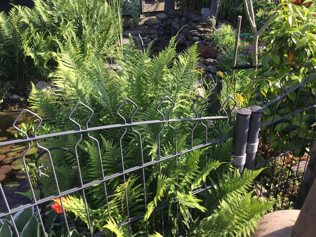 Hekwerk, Tuin en Terras, Tuinwanddecoratie, Ophalen, Gebruikt