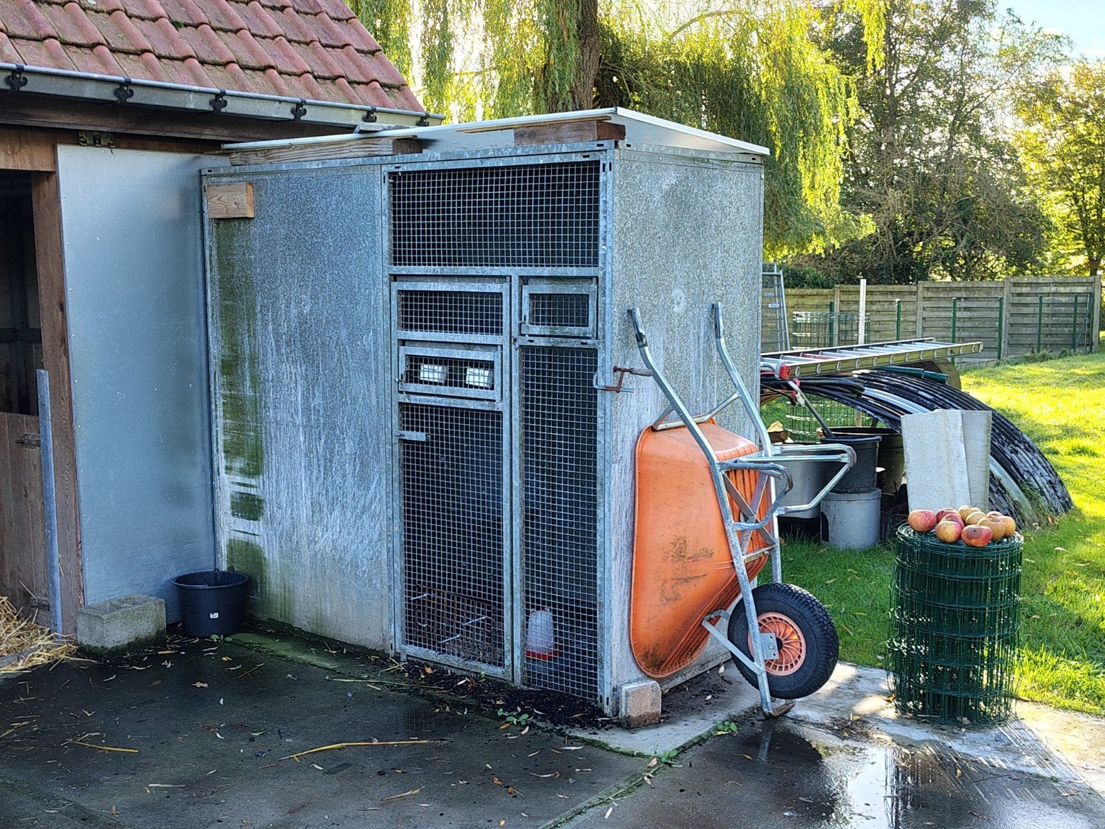 ijzeren papegaaien kooi, Ophalen, Gebruikt, Metaal, Vogelkooi