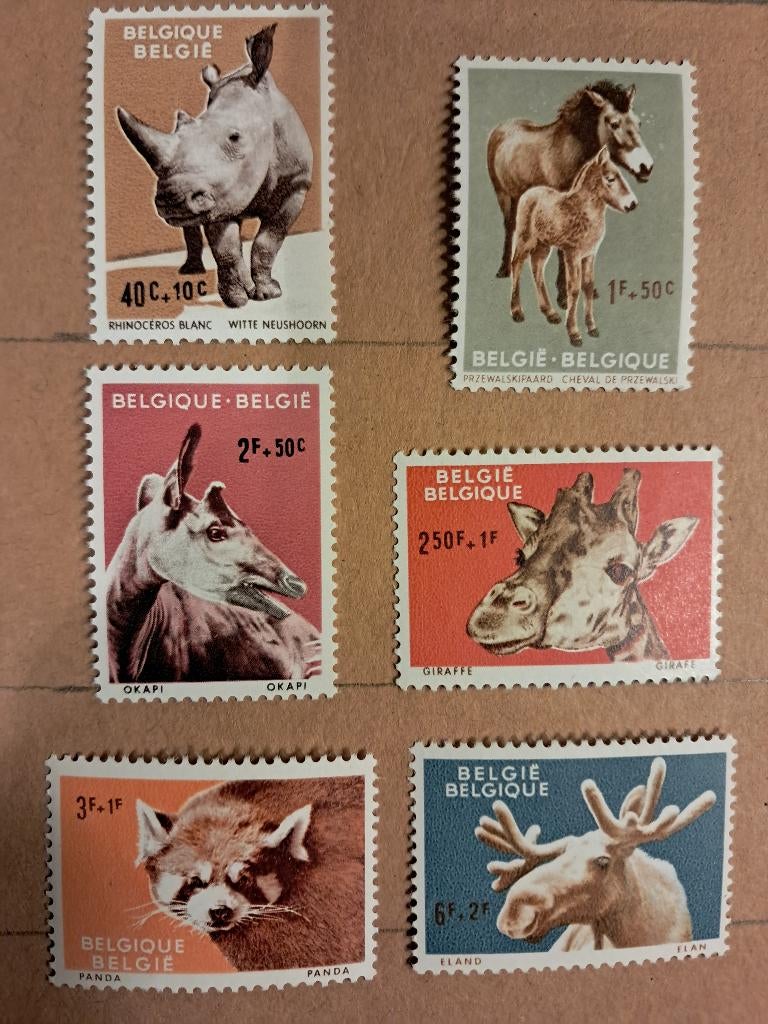 België 1182/87 ** Zoo van Antwerpen, Postzegels en Munten, Postzegels | Europa | België, Frankeerzegel, Ophalen of Verzenden, Zonder stempel
