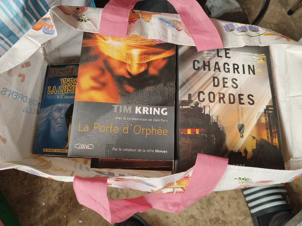 Lot de livres : fantasy, thriller, SF (Salvatore, Kring...), Livres, Enlèvement, Utilisé