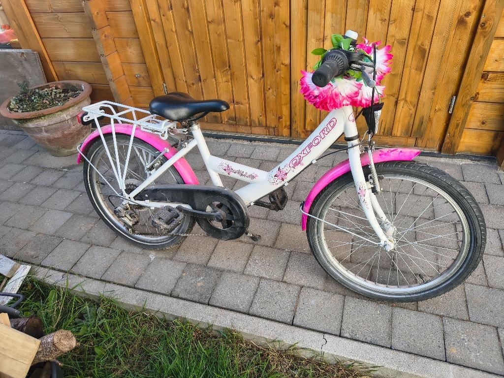 Fiets meisjes 20 inch, Fietsen en Brommers, Ophalen, Gebruikt, Velgrem, Versnellingen