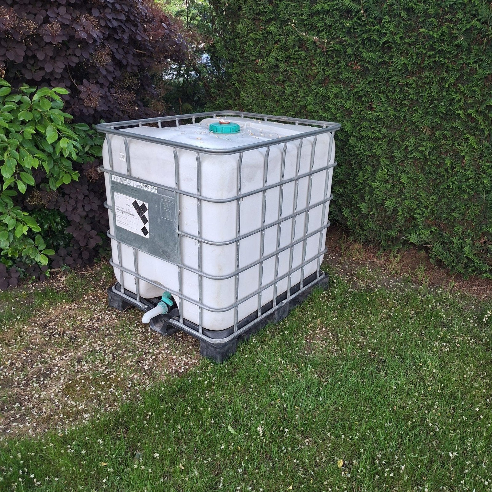 Watertank 1000l, Tuin en Terras, Regentonnen, Ophalen, Met kraantje
