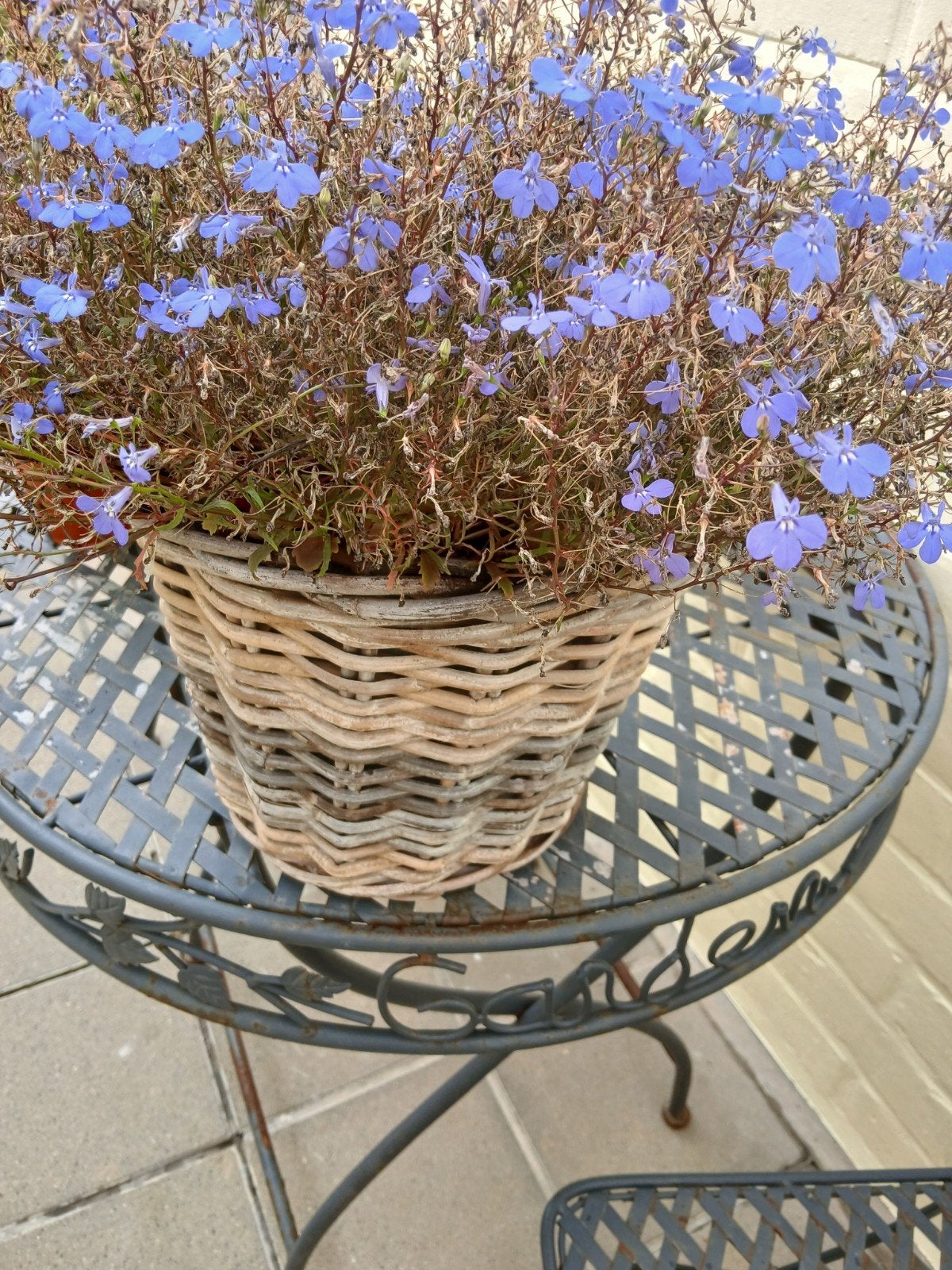 mand met bloemen, Tuin en Terras, Ophalen