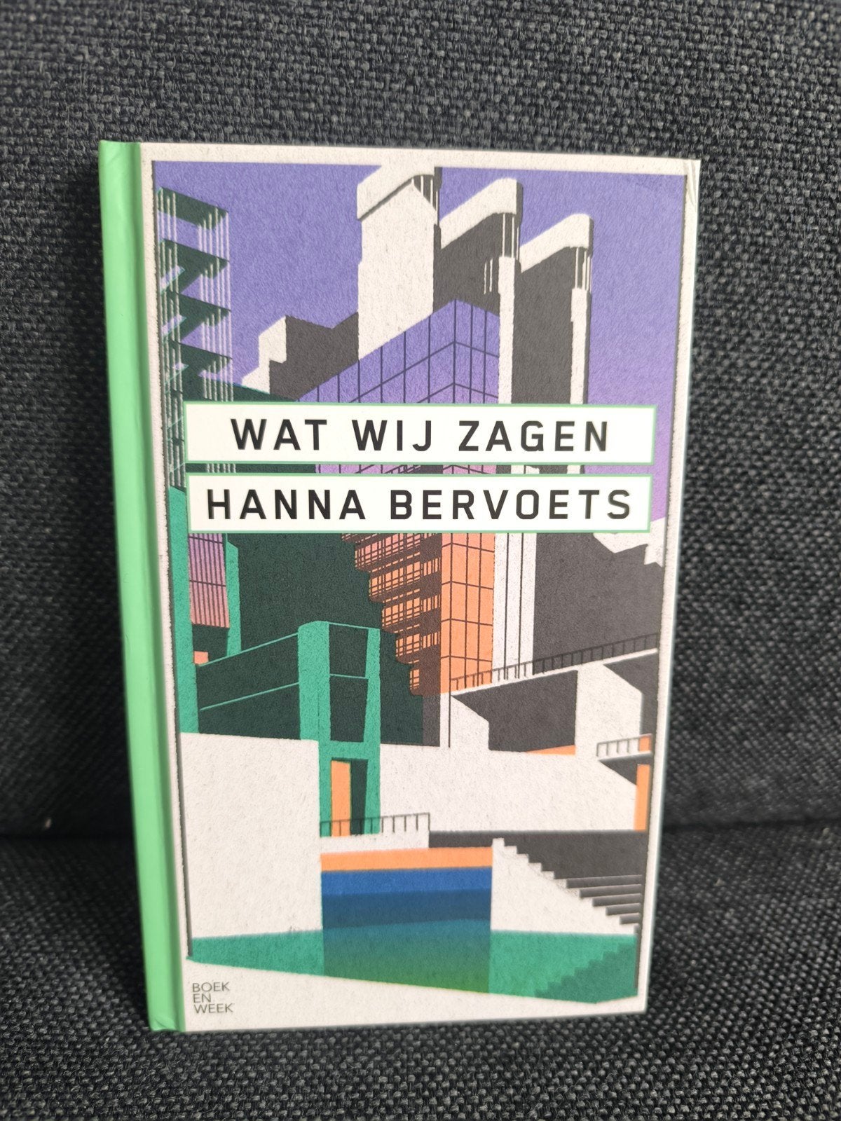 Wat wij zagen (Hanna Bervoets), Ophalen, Zo goed als nieuw, Hanne Bervoets, Nederland