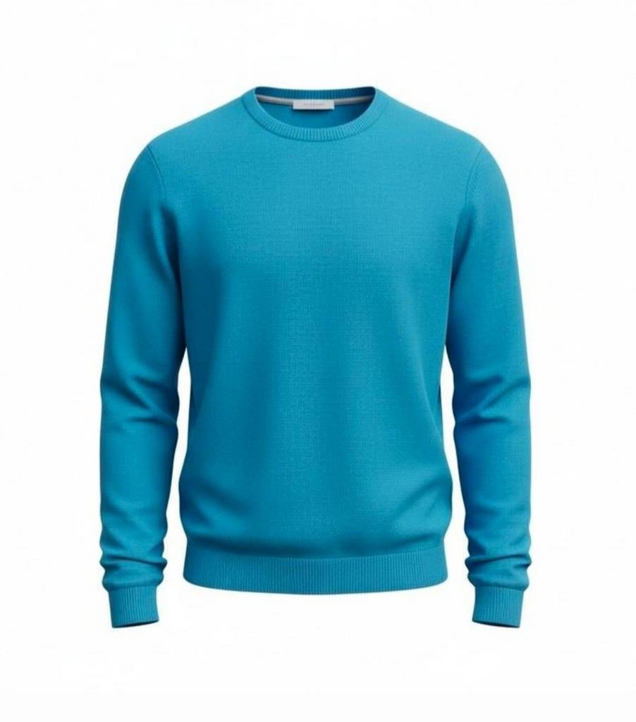 ✨️ Pull MTWTFSS Weekday Taille L - RÉDUCTION GROUPÉE ‼️✨️✨️, Vêtements | Hommes, Pulls & Vestes, Porté, Taille 52/54 (L), Bleu