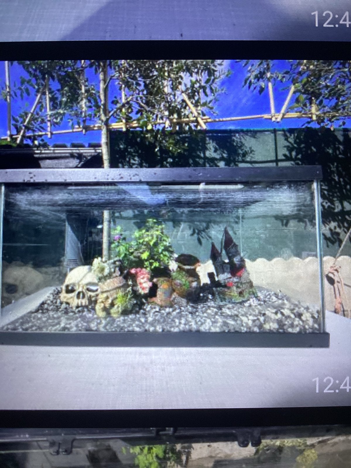 Aquarium, Ophalen, Gebruikt
