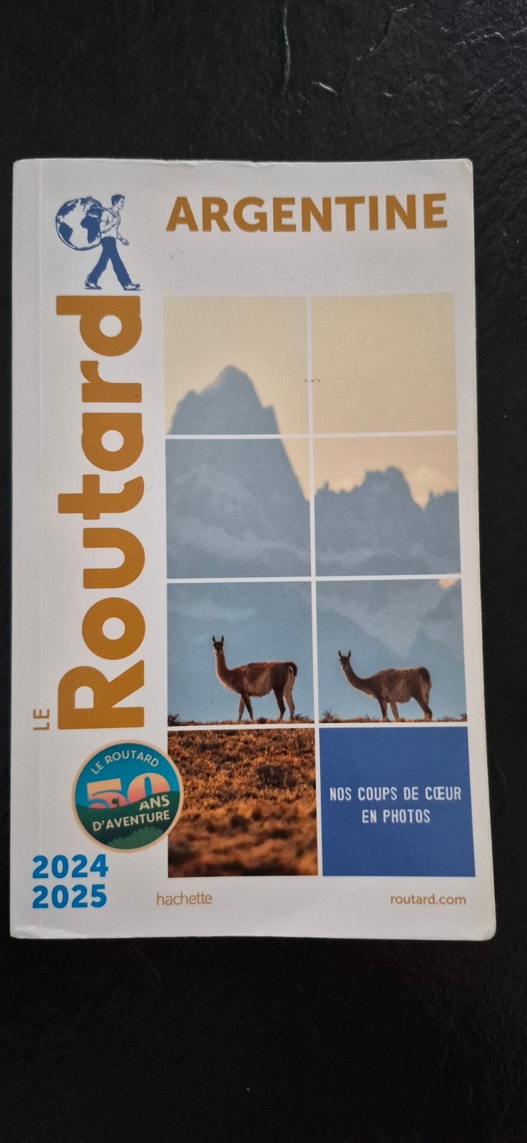 Argentine guide du Routard, Enlèvement, Comme neuf