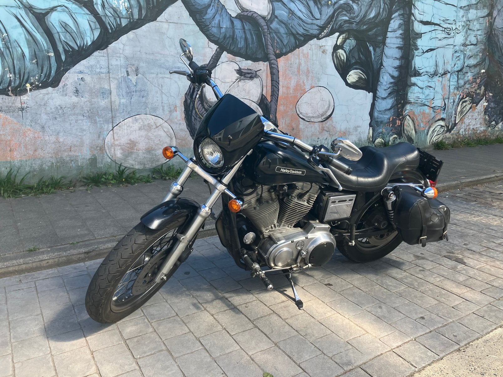 Harley Davidson Sportster XLH883 1996 Hugger Custom, 2 cilinders, Gebruikt, 883 cc, Particulier