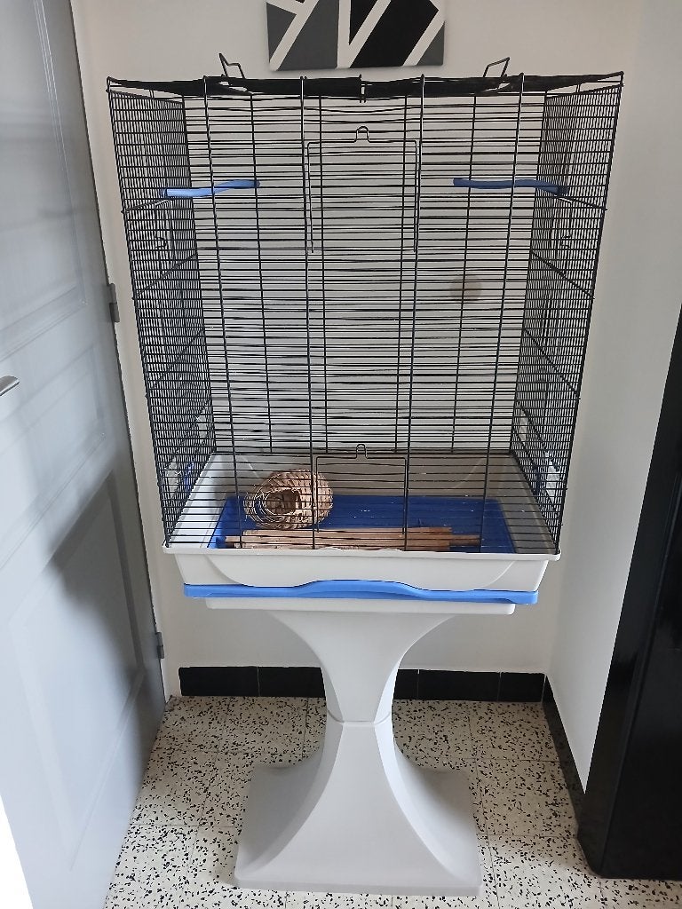 Cage oiseaux, Animaux & Accessoires, Oiseaux | Cages & Volières, Enlèvement, Utilisé, Cage à oiseaux