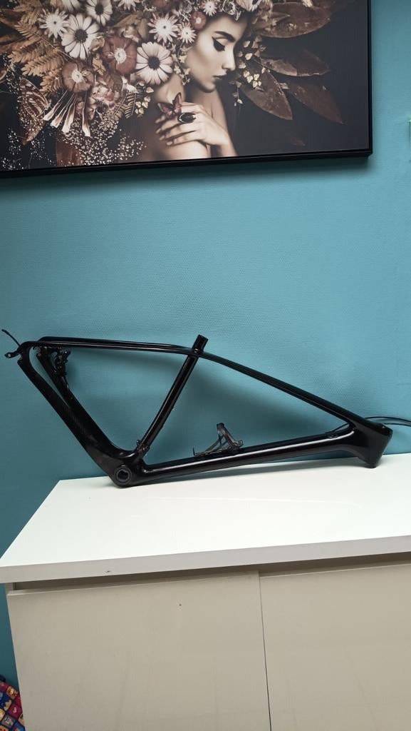 Frame carbon MTB 29er M, Fietsen en Brommers, Fietsaccessoires | Bagagedragers, Ophalen
