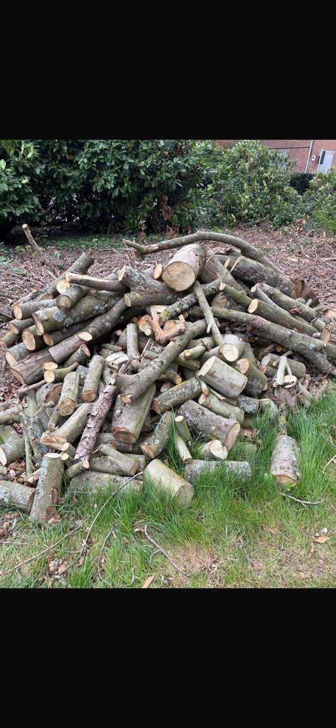 Verschillende soorten brandhout, Tuin en Terras, Brandhout, 3 tot 6 m³, Ophalen, Overige houtsoorten, Blokken