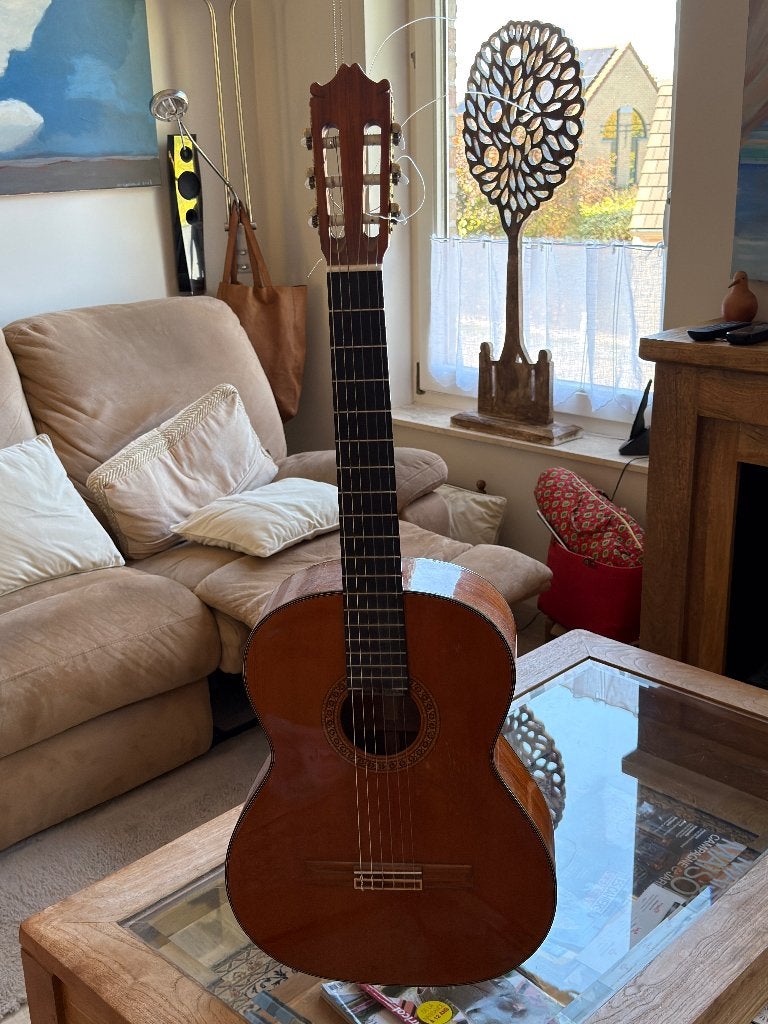 Guitare Ibanez Andora Classic GA120S, Musique & Instruments, Enlèvement, Utilisé, Ibanez