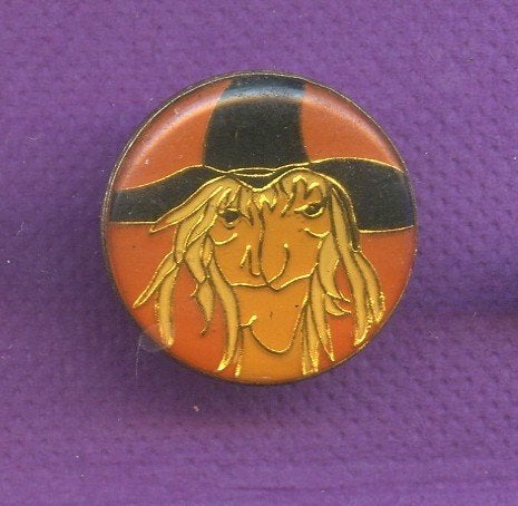 pins sorciere a314, Collections, Envoi, Utilisé, Autres sujets/thèmes, Insigne ou Pin's
