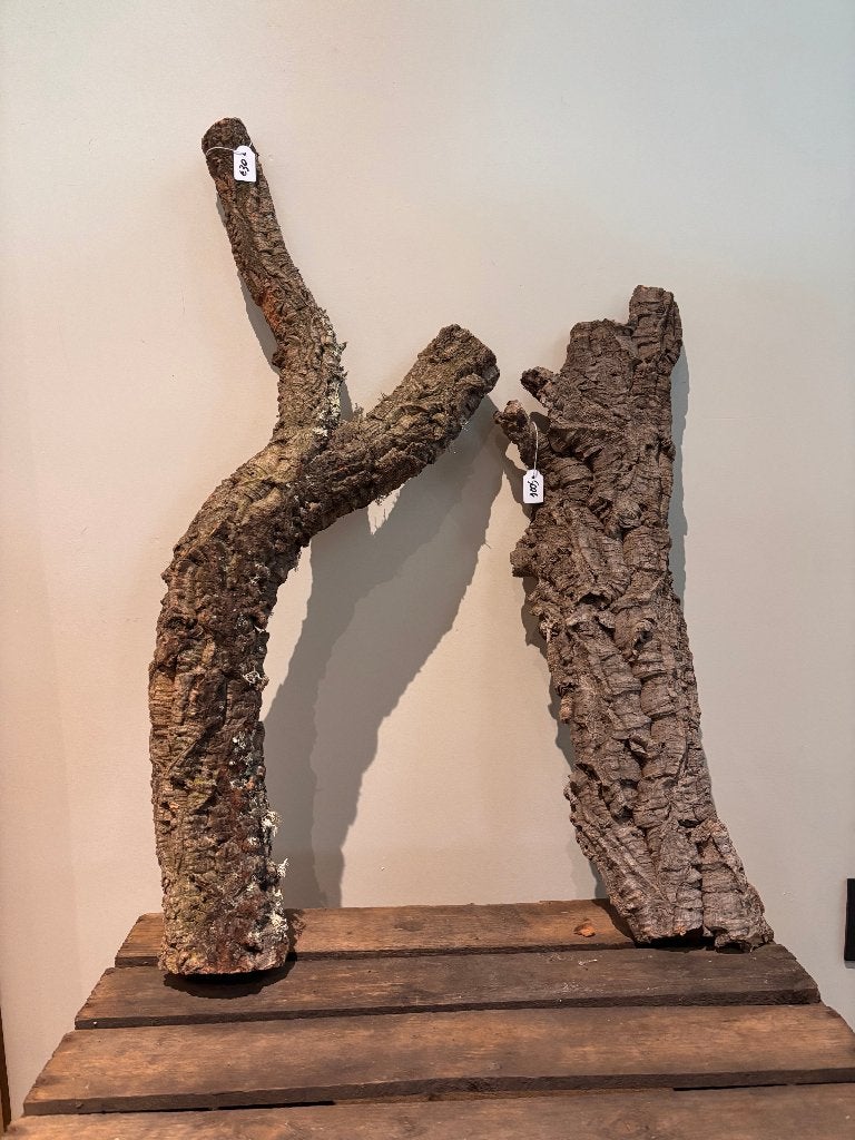 Kurk voor terrarium , takken, schors etc..., Ophalen of Verzenden, Nieuw, Tak, Plant, Rots of Steen