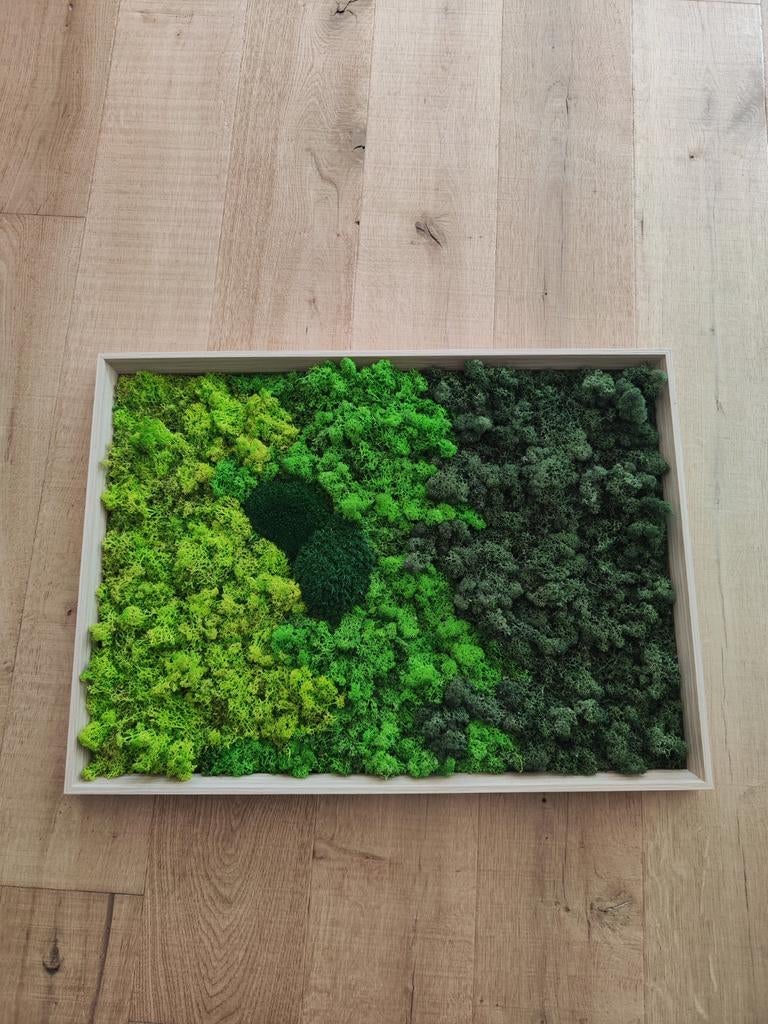 Mosschilderij, Antiek en Kunst, Kunst | Designobjecten, Ophalen