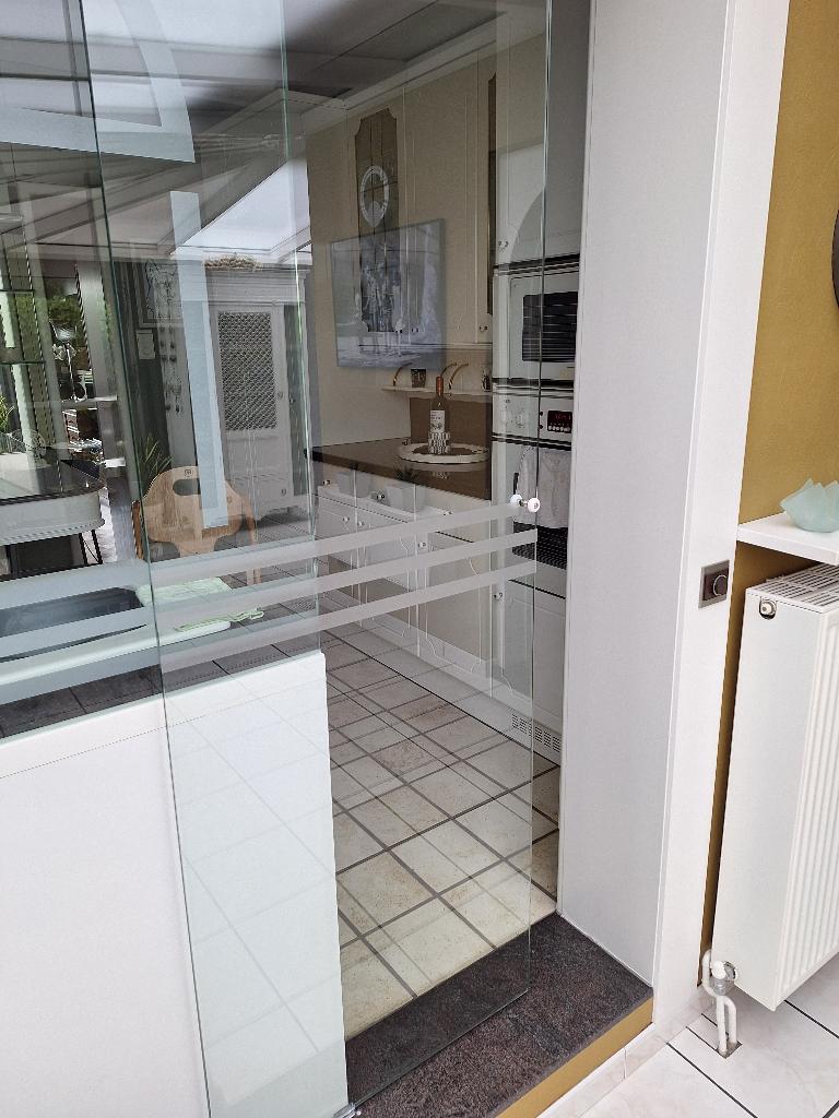glazen binnendeur, Doe-het-zelf en Bouw, Deuren en Vliegenramen, Ophalen, Glas, Binnendeur