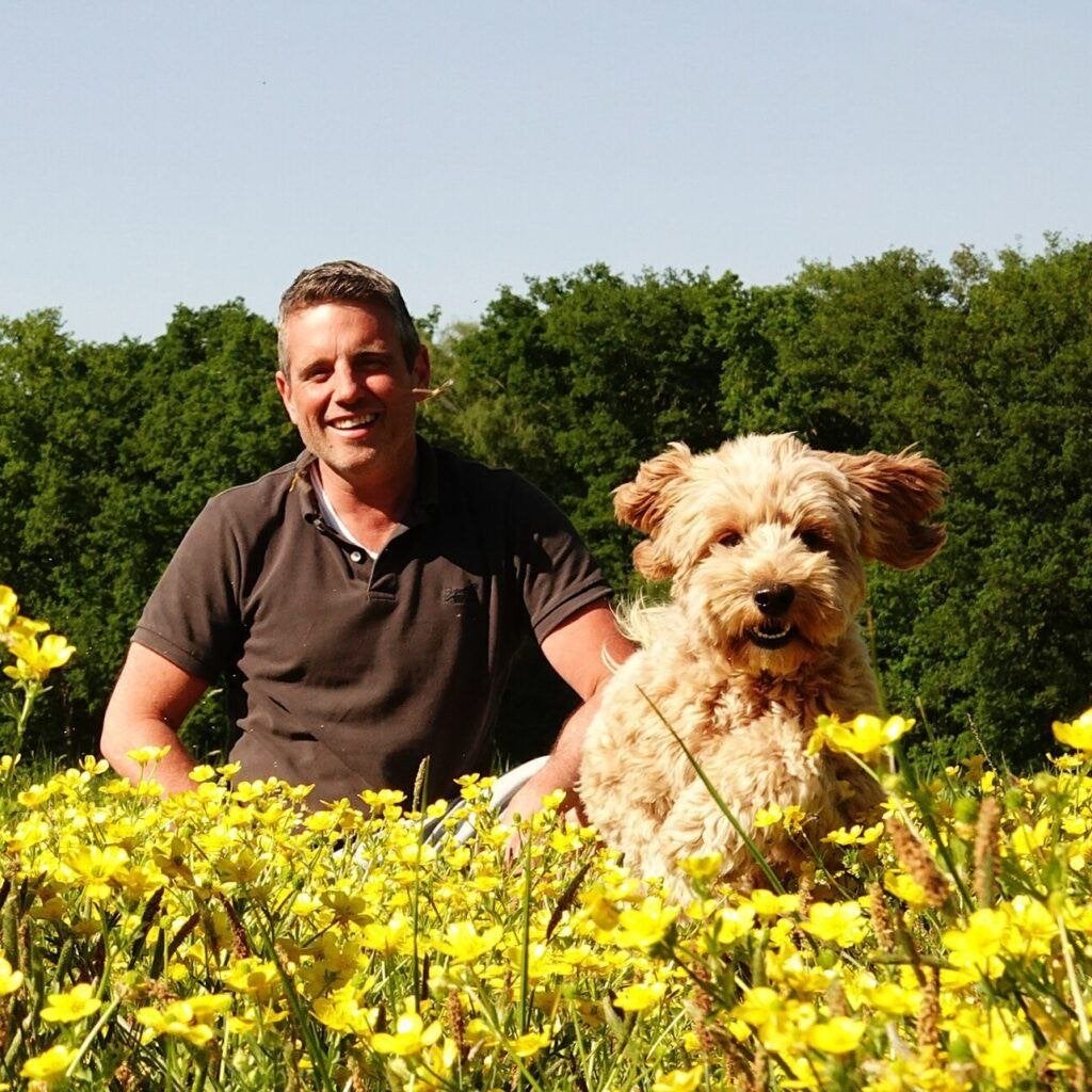 Australian Labradoodle pups verwacht, Dieren en Toebehoren, België, Overige rassen, 8 tot 15 weken, CDV (hondenziekte)