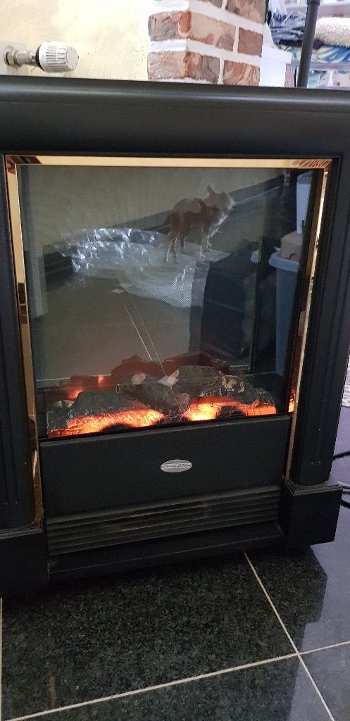 Poêle d'ambiance, Enlèvement, Utilisé, 800 watts ou plus, Poêle