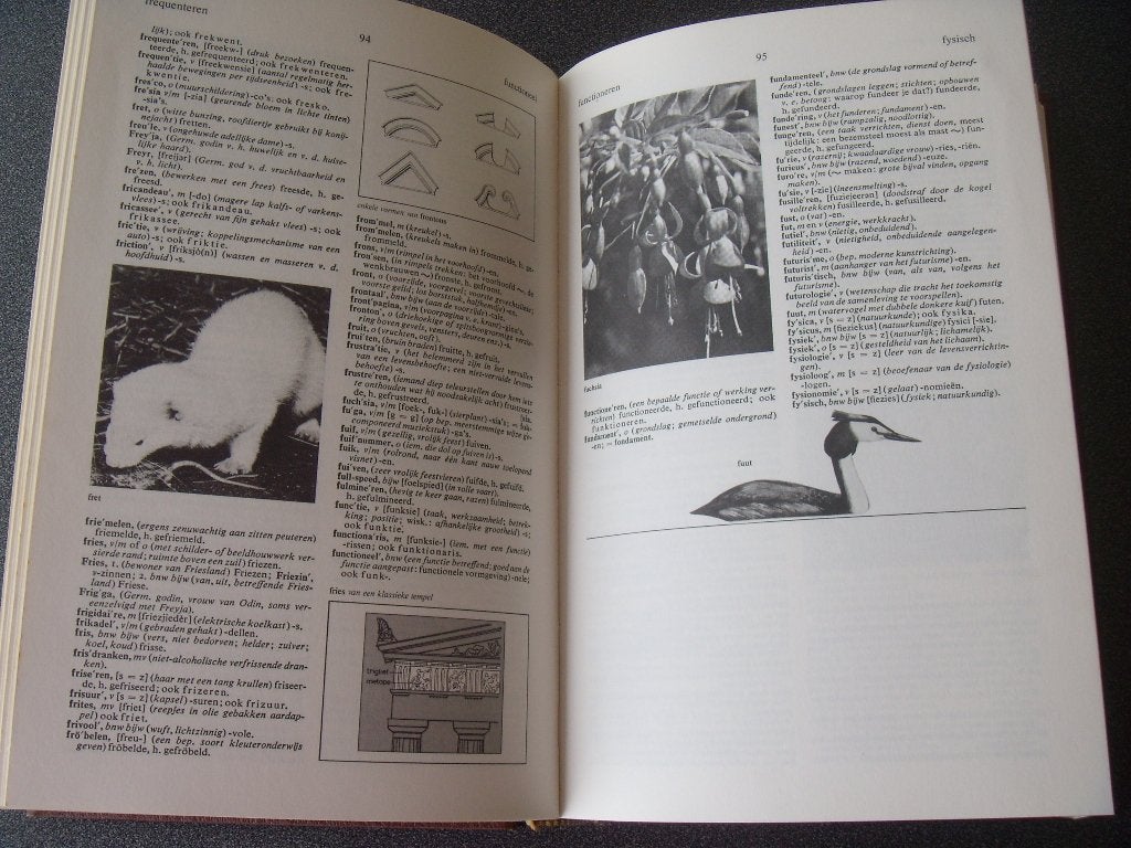 Geïllustreerd Nederlands Woordenboek, Livres, Dictionnaires, Enlèvement ou Envoi, Utilisé, Néerlandais