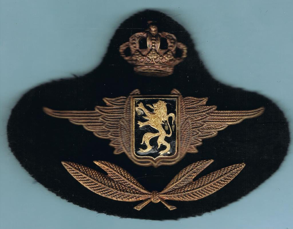 Belgian Air Force Kepie insigne ( D37 ), Ophalen of Verzenden, Luchtmacht, Embleem of Badge