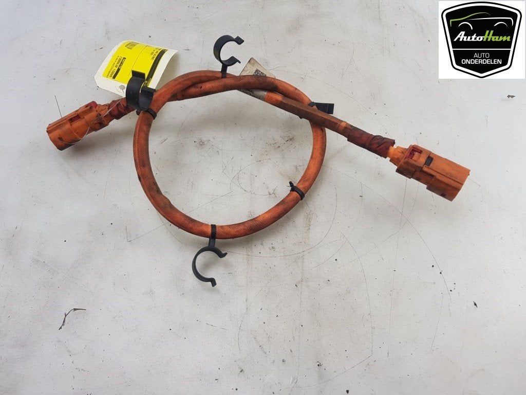 CÂBLE HT (HAUTE TENSION) Volkswagen Golf VII (AUA), Volkswagen, Utilisé, Lisa.Scalzo@aptiv.com, Aptiv PLC