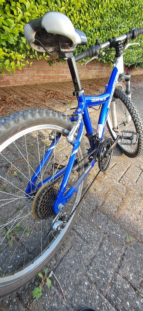 Minerva Escape Pro 24 Mountainbike, Ophalen, Velgrem, Versnellingen, Minerva