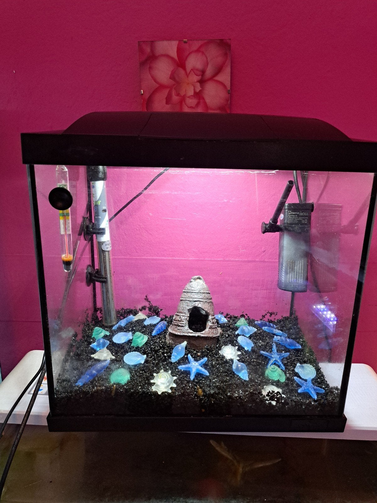 Aquarium. Complet 35/22/35 chauffage pompe etc, Animaux & Accessoires, Aquarium vide, Enlèvement, Superfish, Comme neuf