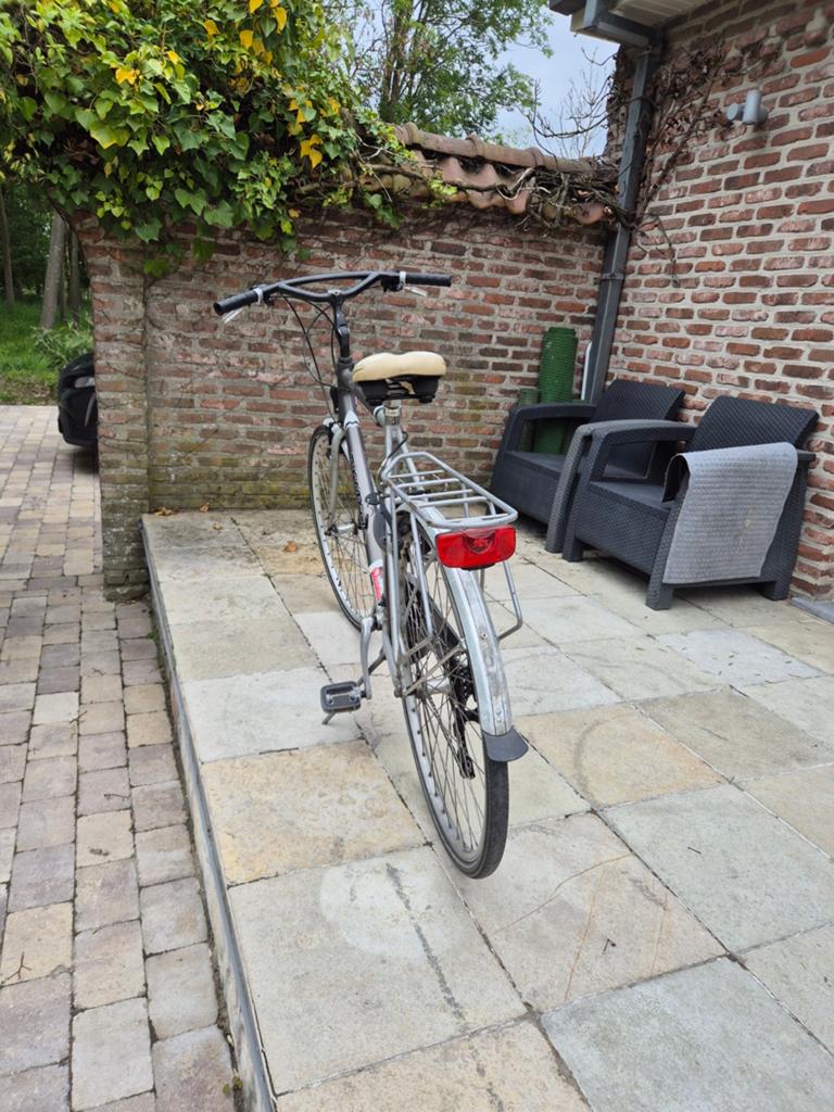 Vélo pour homme, Vitesses, Frein sur jante, Thompson, Enlèvement