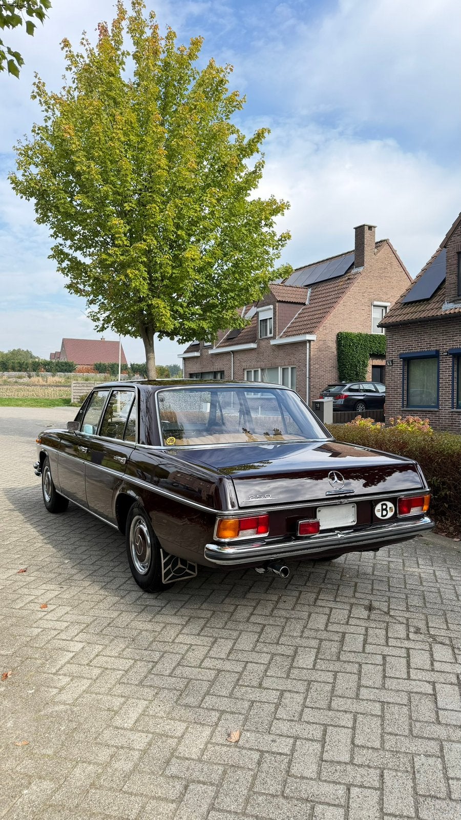 Mercedes W114 250 Bar 8, 89.000km - Gekeurd v verkoop, Achat, Particulier, Brun, Brun