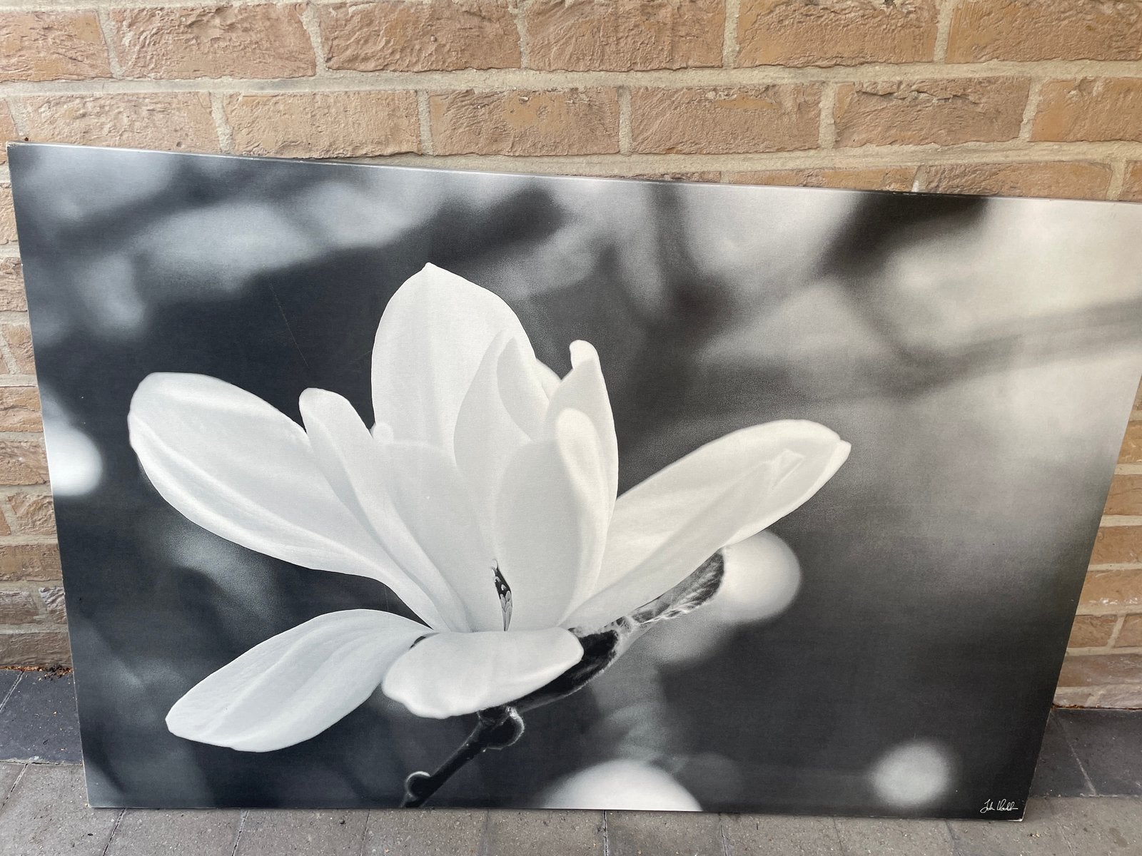 IKEA Pjätteryd canvas "Magnolia" (John Walt), Ophalen of Verzenden, Zo goed als nieuw