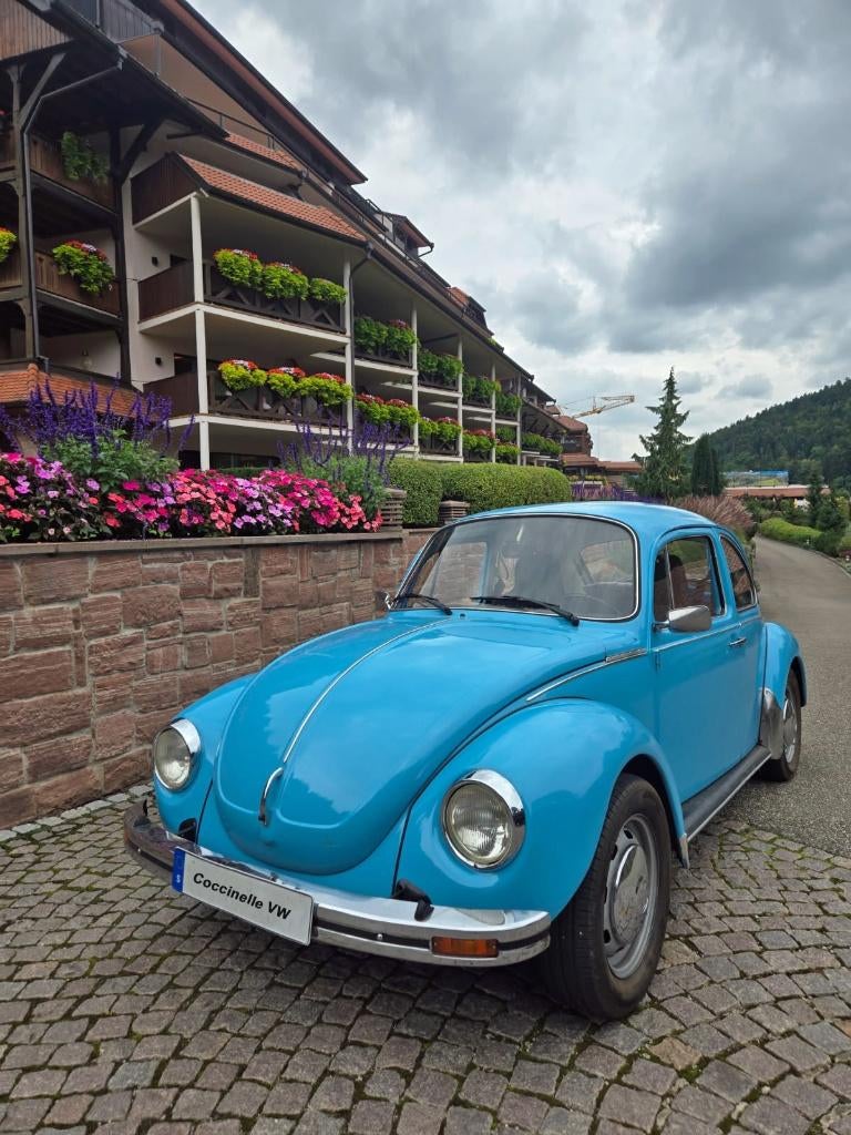 RTA voor Volkswagen Beetle in het Frans., Ophalen of Verzenden