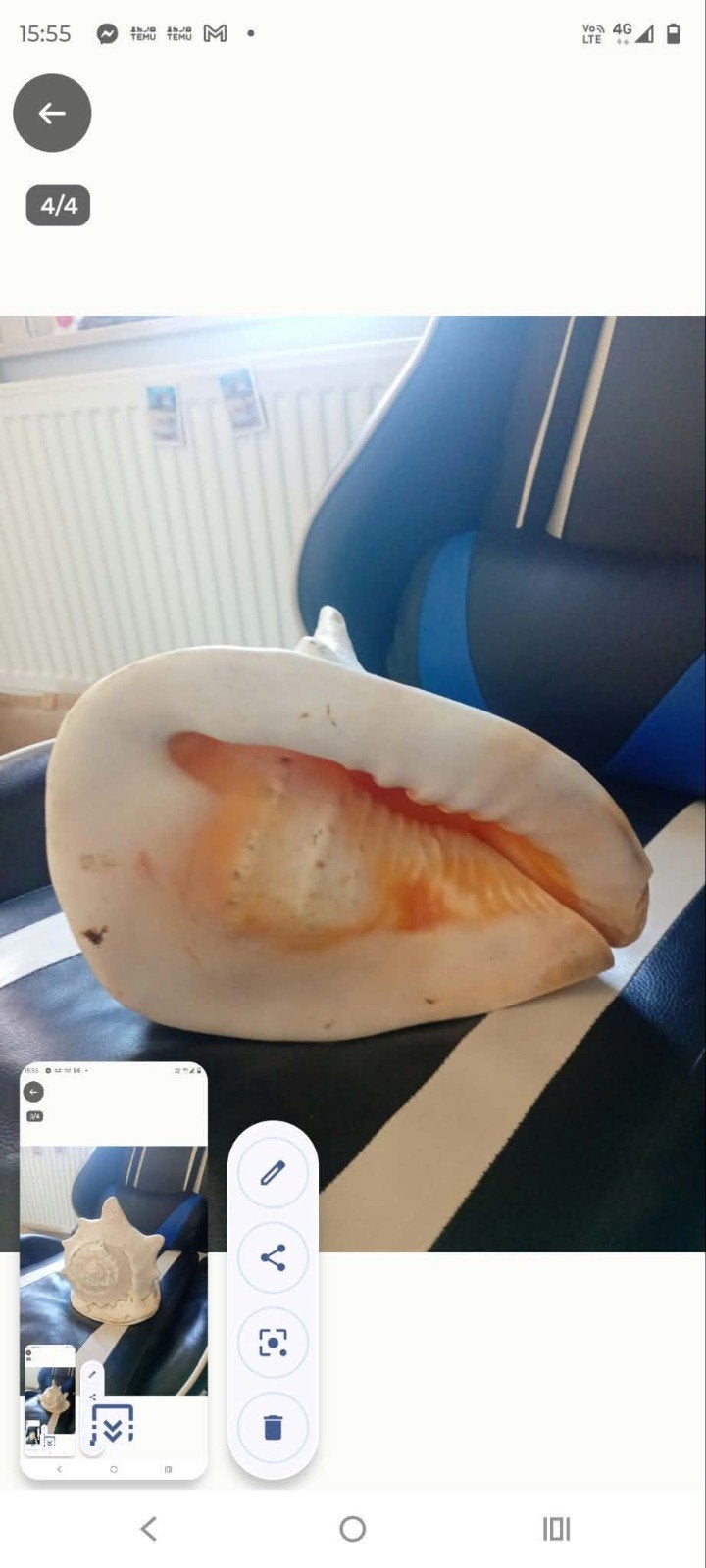 schelp, Ophalen