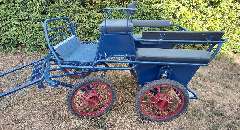 Enkelspan recreatiekoets voor 4-6 personen, Animaux & Accessoires, Utilisé, Calèche marathon, Cheval ou Poney