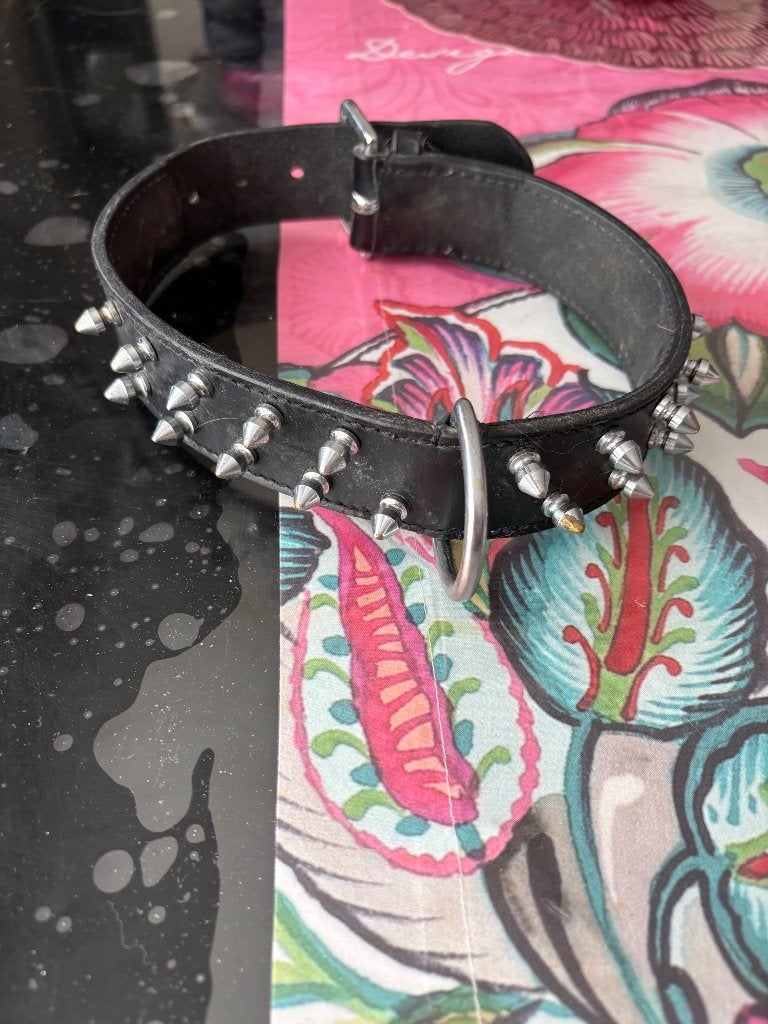 Collier cuir noir pour chien, Ophalen of Verzenden, Zo goed als nieuw, Halsband