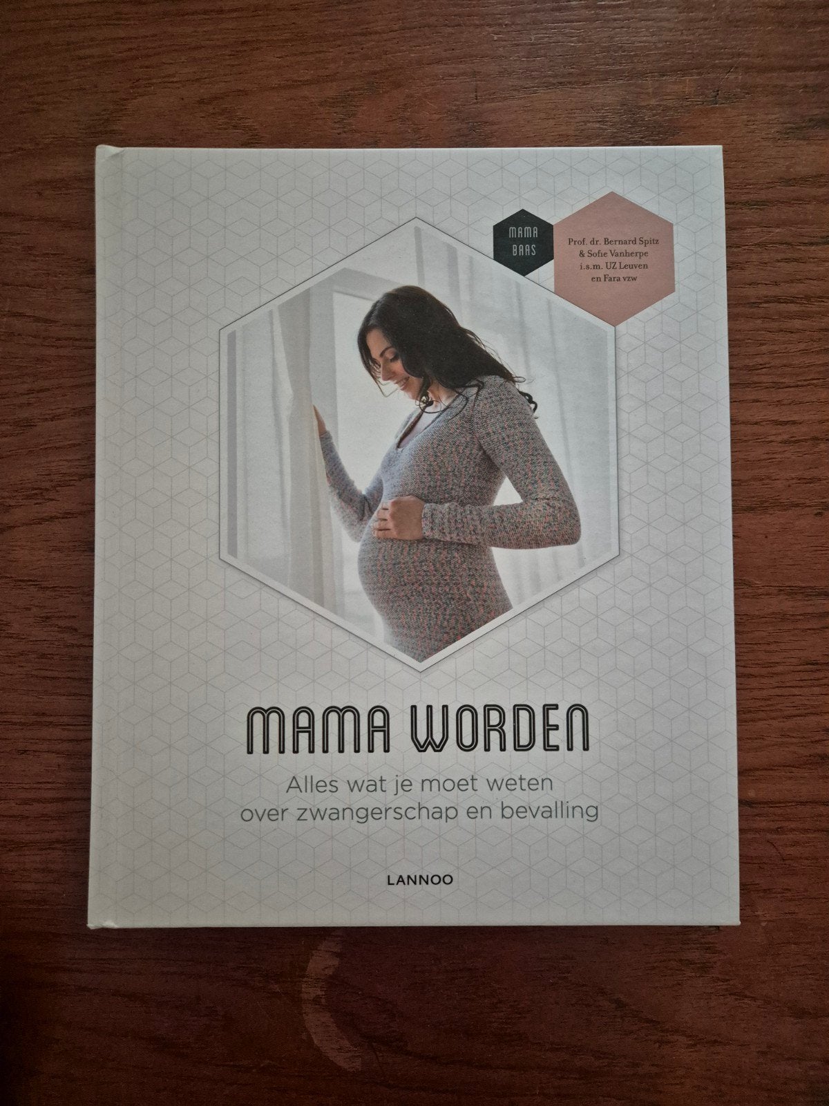 Boek mama worden, Boeken, Kunst en Cultuur | Architectuur, Ophalen