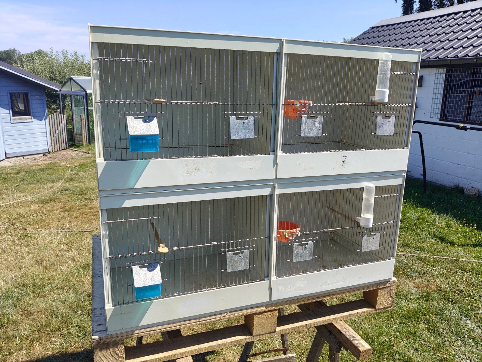 pvc kweekkooien, Dieren en Toebehoren, Ophalen
