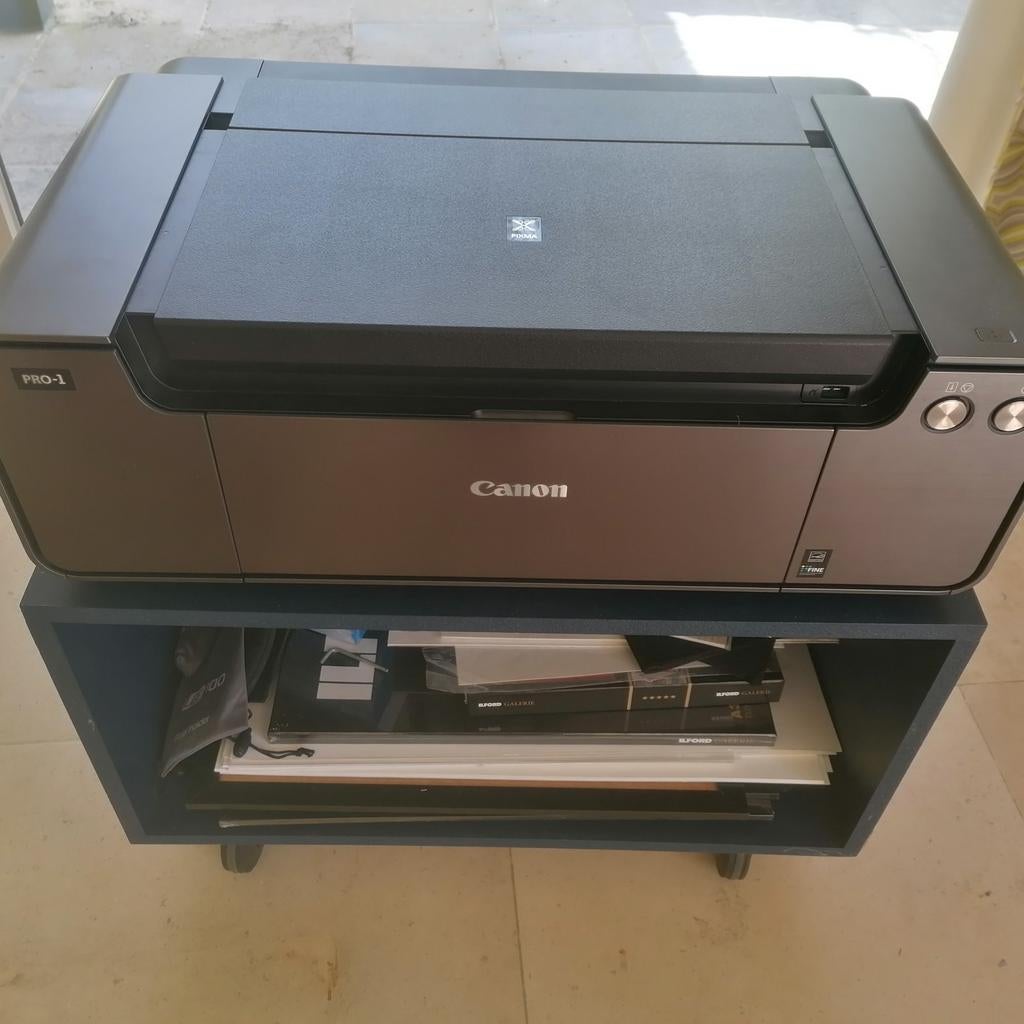 Printer pixma pro 1, Enlèvement, Imprimante