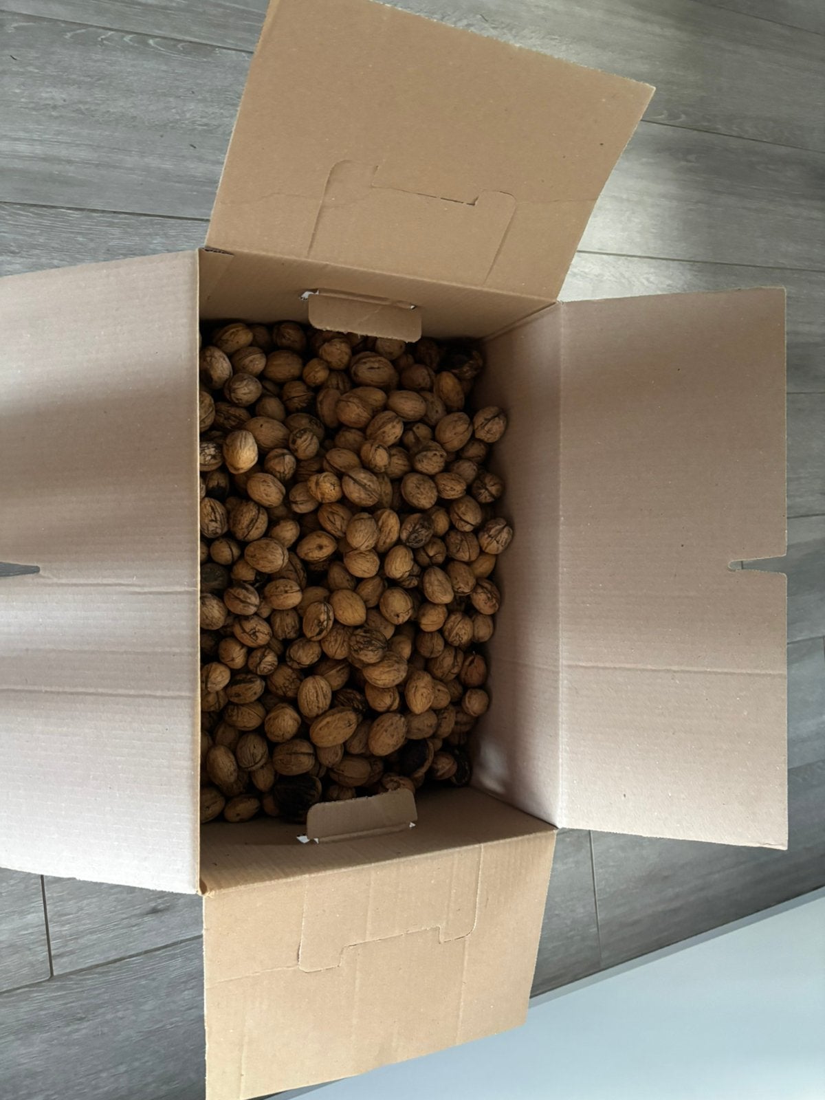 10 kilo verse walnoten, Enlèvement