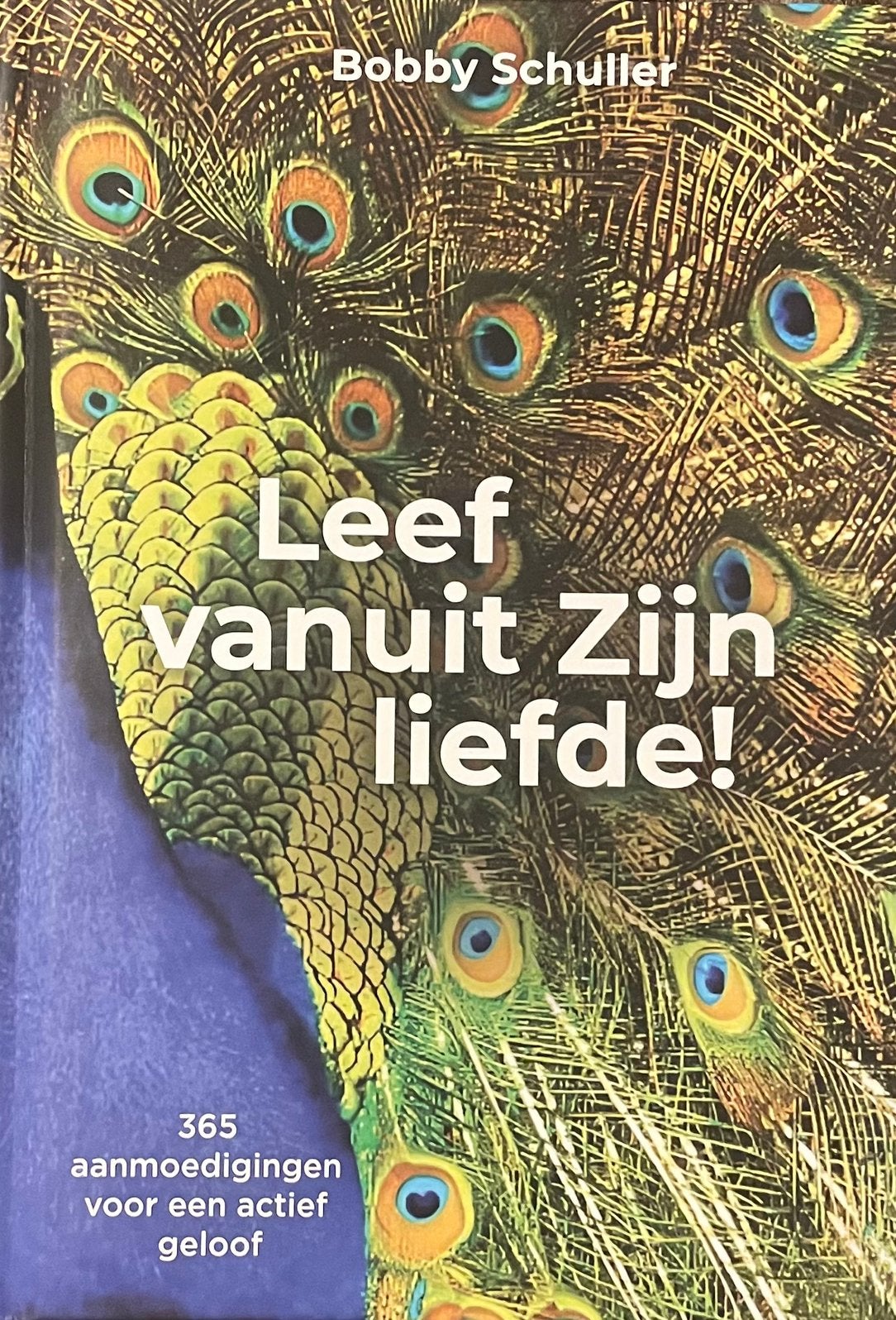 Bobby Schuller - Leef vanuit Zijn liefde, Ophalen of Verzenden, Bobby Schuller