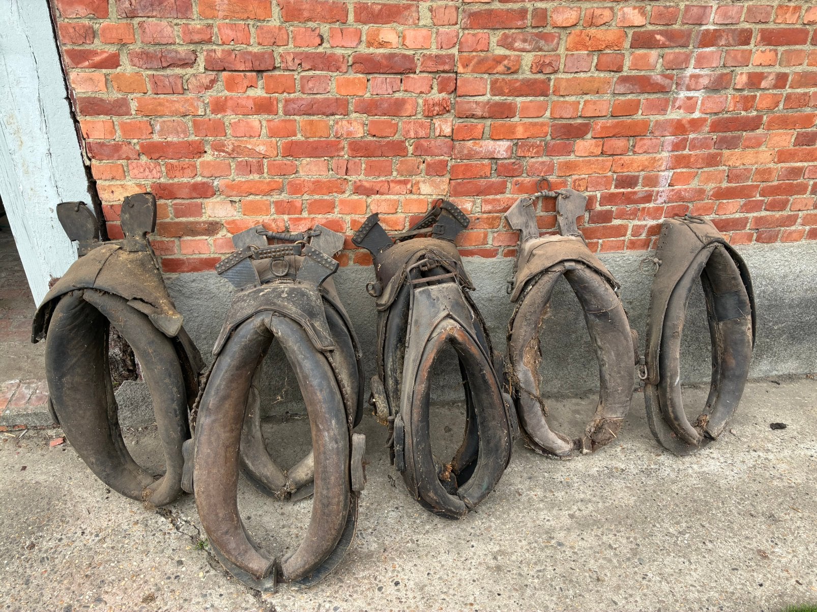 Paardenhaam lot, Ophalen, Gebruikt, Handgemaakt, Hoofdstel