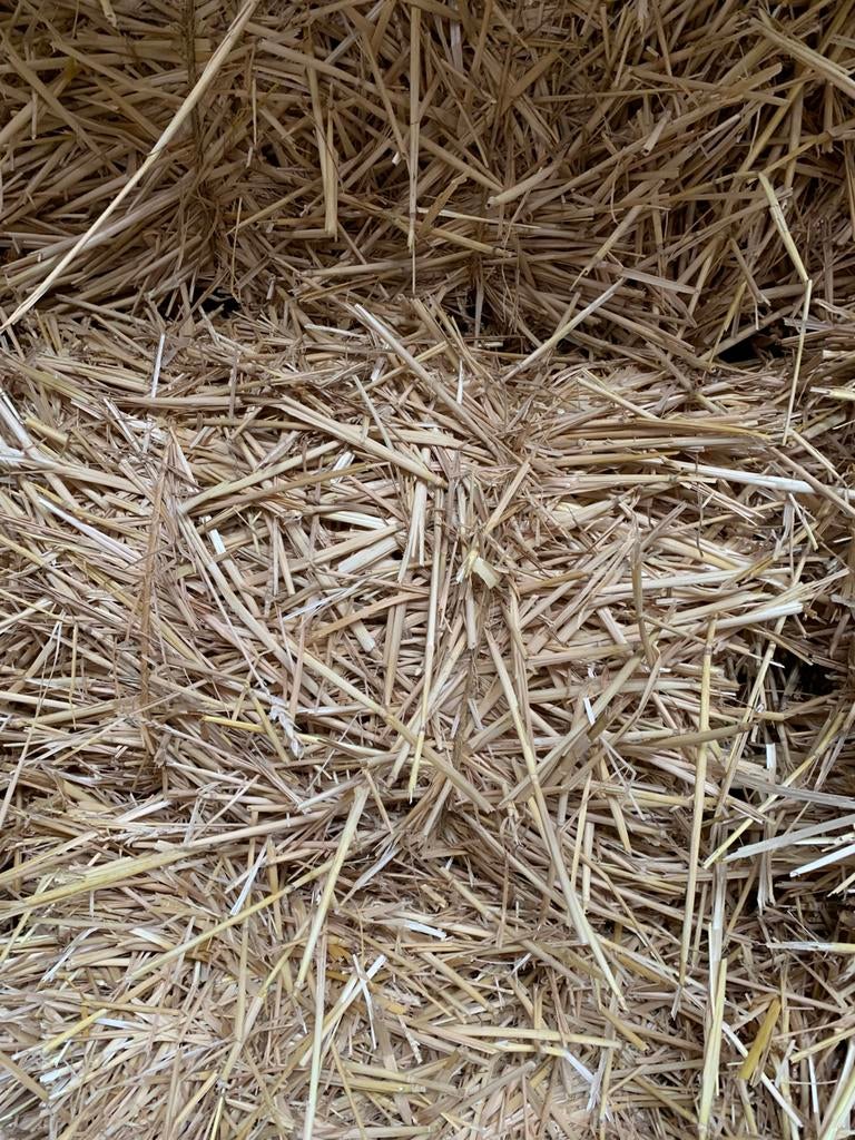 Kleine boten Stro premium kwaliteit, Dieren en Toebehoren, Paarden