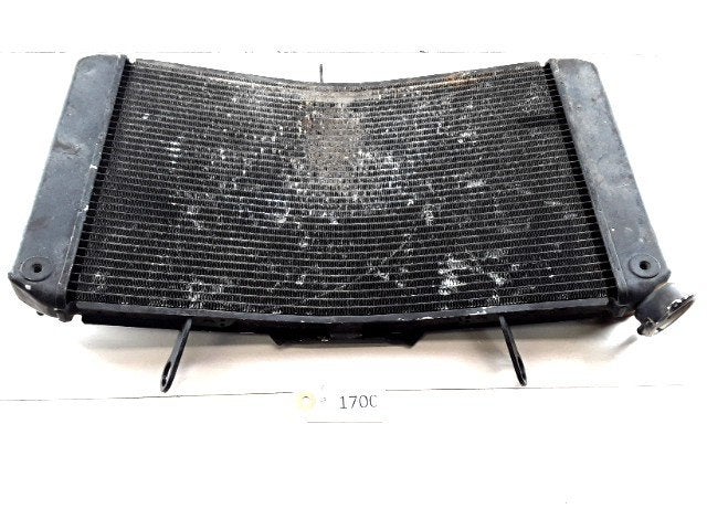 FZ8 2010 - 2015 Yamaha Radiator D1-37653