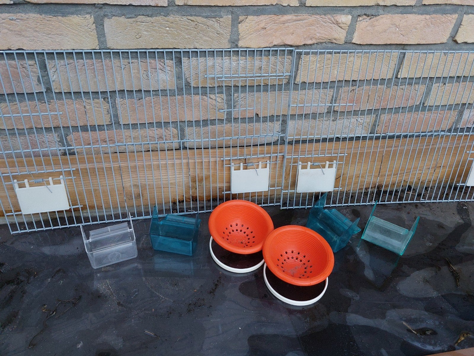 kweekkooi fronten 50×30, Dieren en Toebehoren, Ophalen of Verzenden