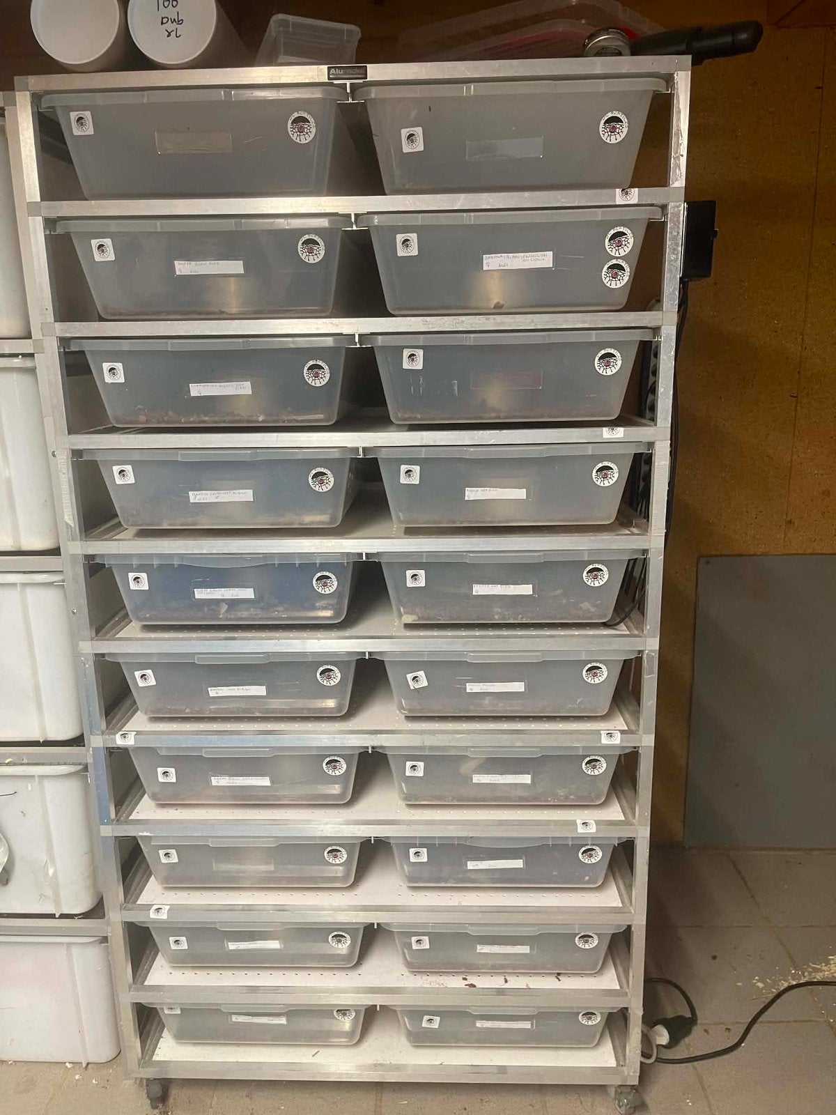 Rack met 14 slangen, Dieren en Toebehoren, Ophalen, Zo goed als nieuw