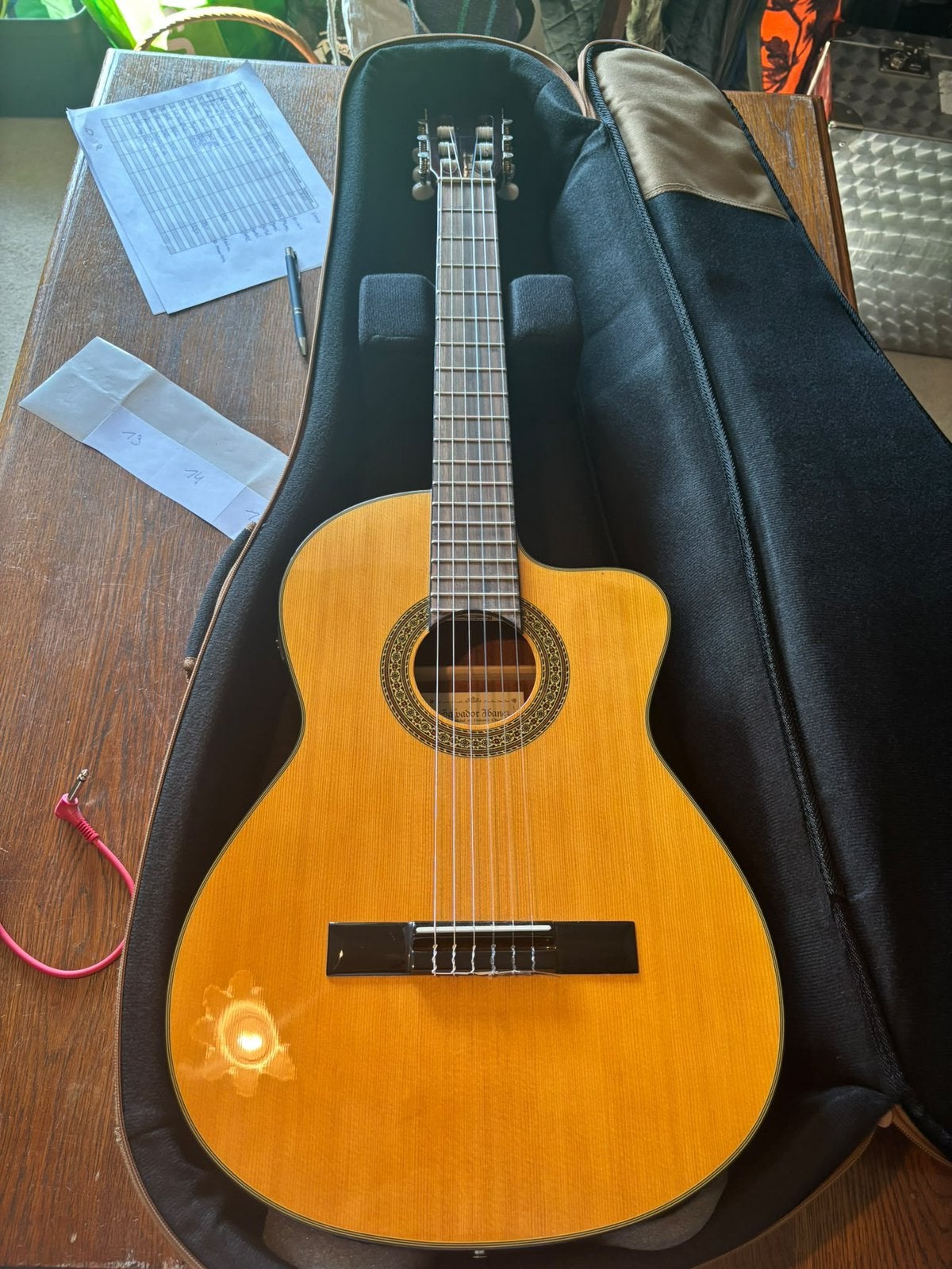 Salvador Ibanez G5ECE-AM elektro-klassieke gitaar +  hoes, Muziek en Instrumenten, Ophalen, Zo goed als nieuw
