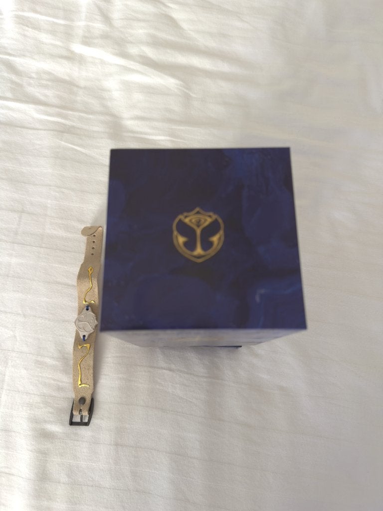 Tomorrowland Weekend 1 Incredible Saturday pass, Une personne